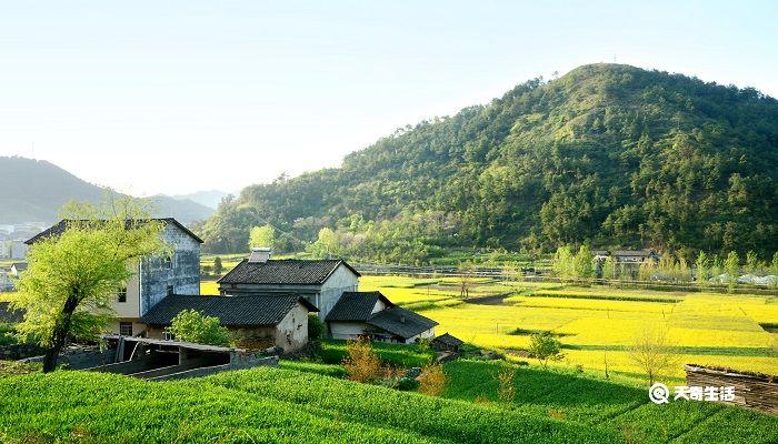 归园田居高一必修一原文