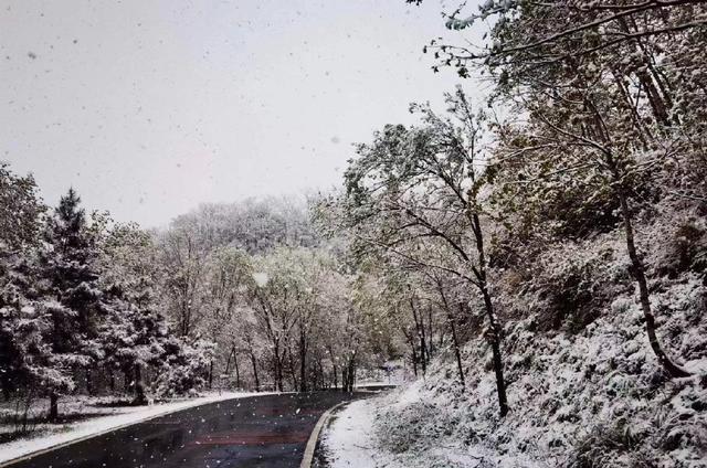 四月飘雪！北京门头沟灵山银装素裹，在暮春时节变成银白色的世界