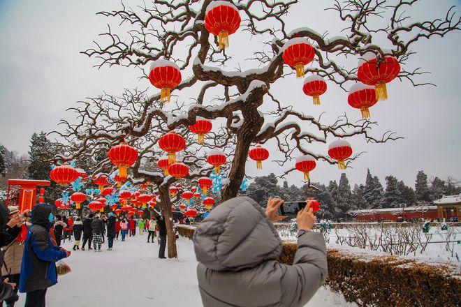 北京：瑞雪下的景山公园 银装素裹美不胜收