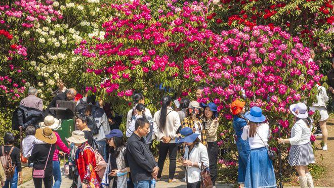 2月最佳旅行地，国内这10个地方春意撩人，肯定有一个是你想去的