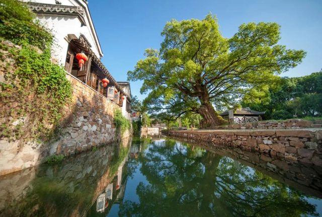 江苏西山岛上的“绝美”古村，就在太湖深处，景色不输周庄乌镇