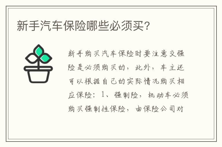 新手汽车保险哪些必须买?