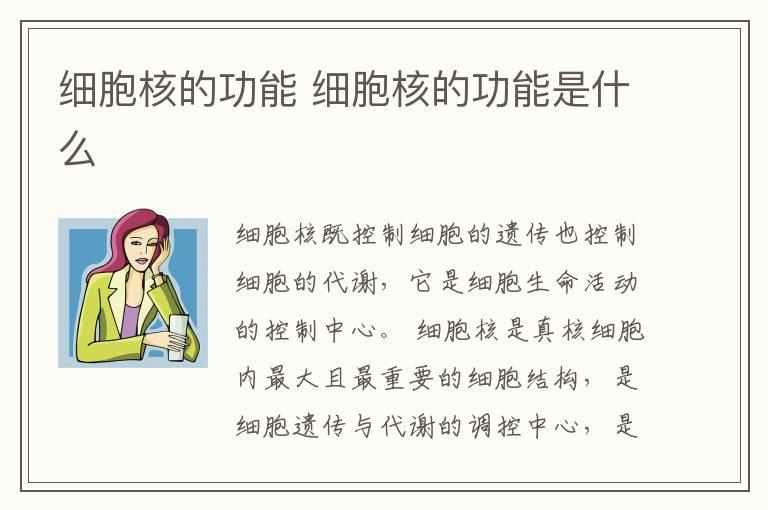 细胞核的功能 细胞核的功能是什么