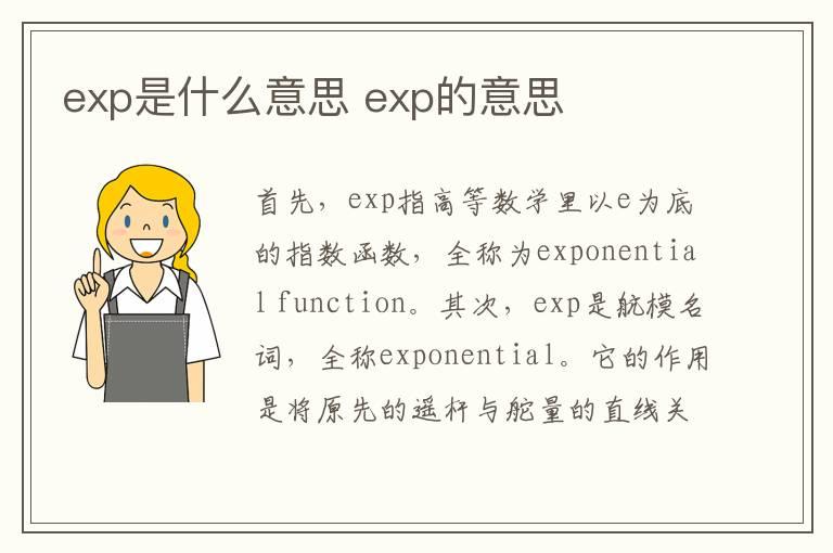 exp是什么意思 exp的意思