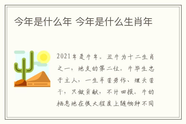 今年是什么年 今年是什么生肖年