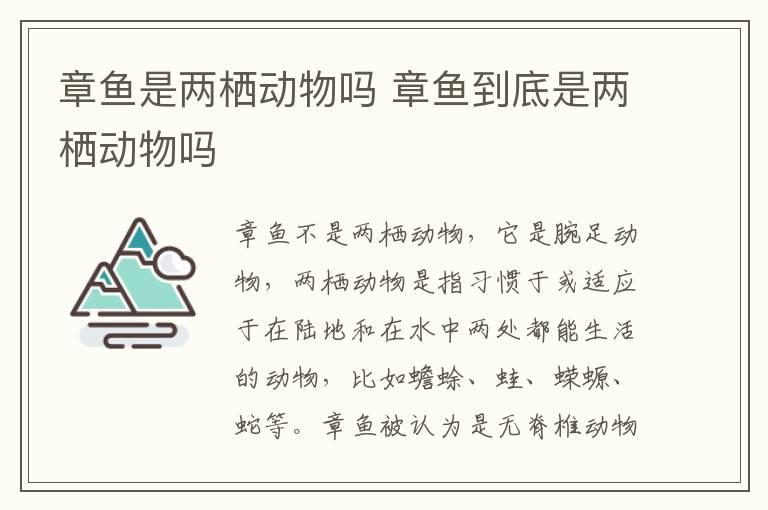 章鱼是两栖动物吗 章鱼到底是两栖动物吗