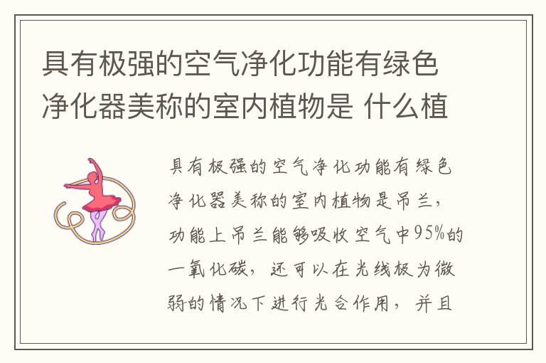 具有极强的空气净化功能有绿色净化器美称的室内植物是 什么植物被称为绿色净化器