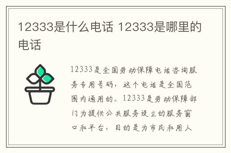 12333是什么电话 12333是哪里的电话