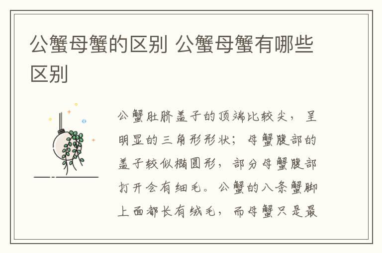 公蟹母蟹的区别 公蟹母蟹有哪些区别