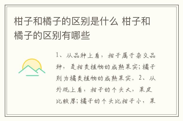 柑子和橘子的区别是什么 柑子和橘子的区别有哪些