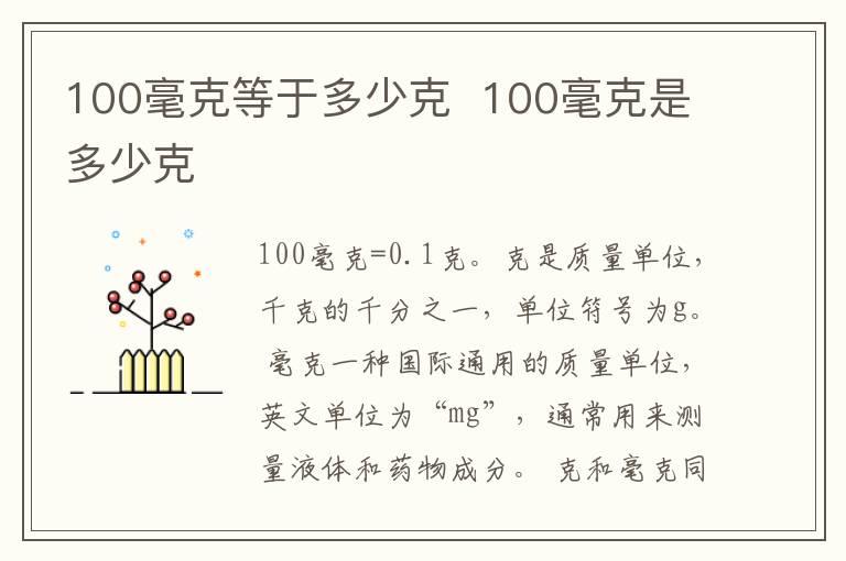 100毫克等于多少克  100毫克是多少克