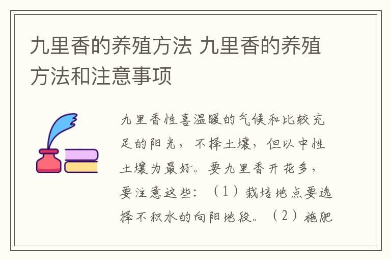 九里香的养殖方法 九里香的养殖方法和注意事项