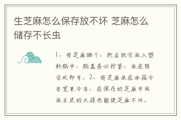 生芝麻怎么保存放不坏 芝麻怎么储存不长虫