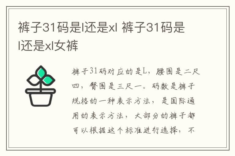 裤子31码是l还是xl 裤子31码是l还是xl女裤