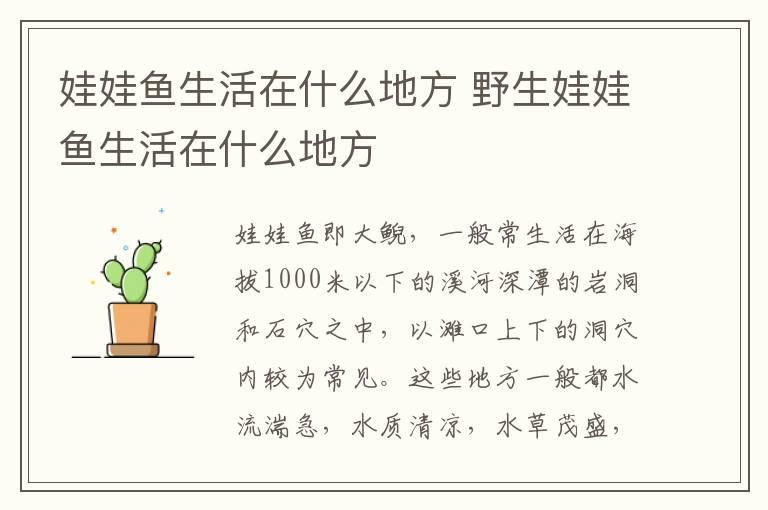 娃娃鱼生活在什么地方 野生娃娃鱼生活在什么地方