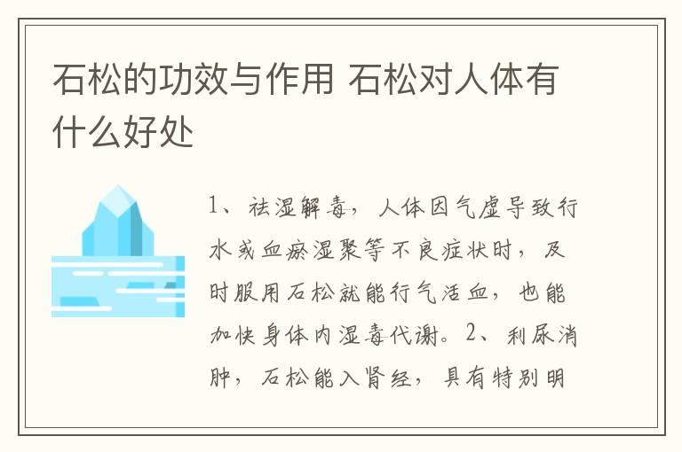 石松的功效与作用 石松对人体有什么好处