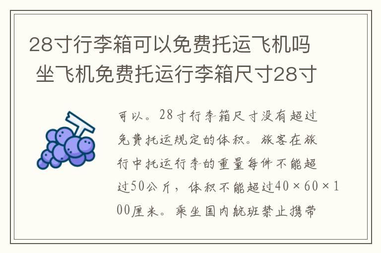 28寸行李箱可以免费托运飞机吗 坐飞机免费托运行李箱尺寸28寸可以吗