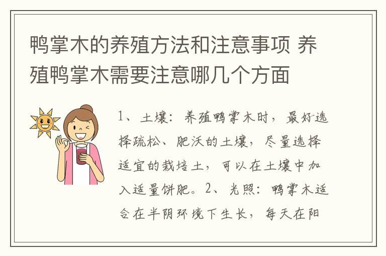 鸭掌木的养殖方法和注意事项 养殖鸭掌木需要注意哪几个方面