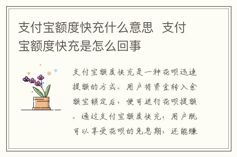 支付宝额度快充什么意思  支付宝额度快充是怎么回事