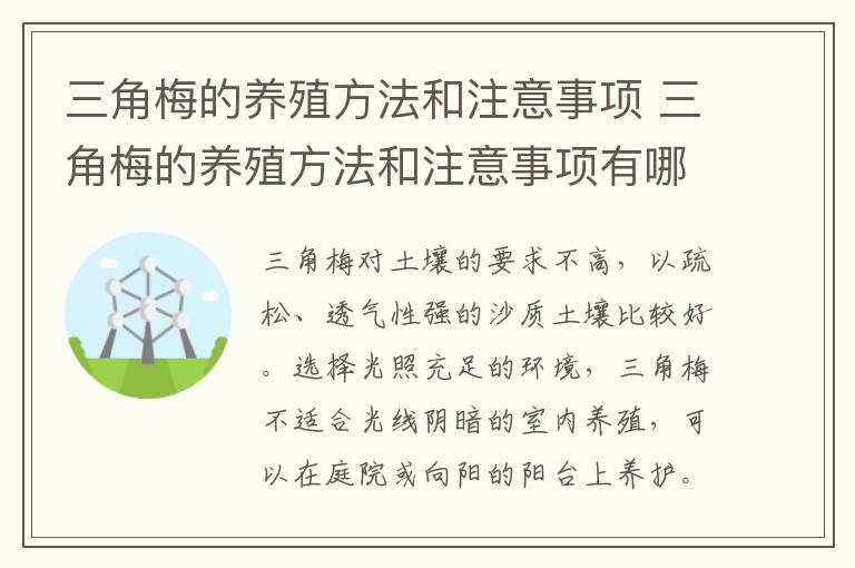 三角梅的养殖方法和注意事项 三角梅的养殖方法和注意事项有哪些