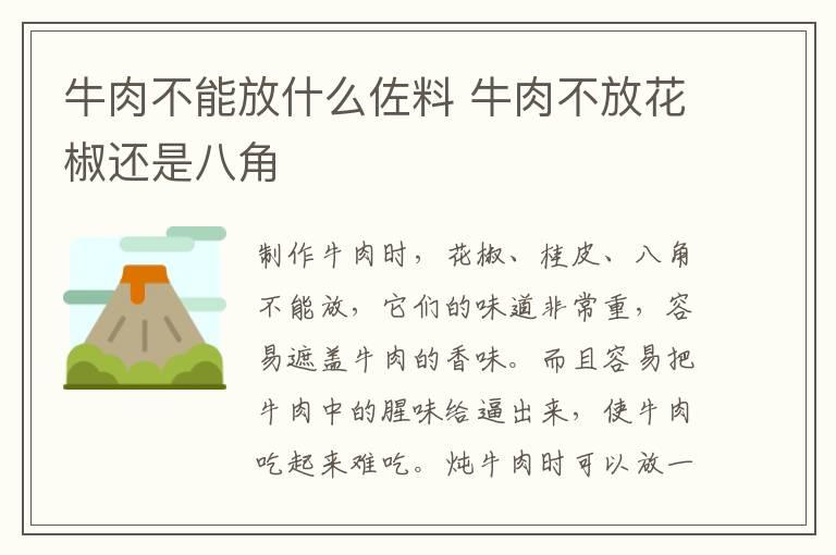 牛肉不能放什么佐料 牛肉不放花椒还是八角