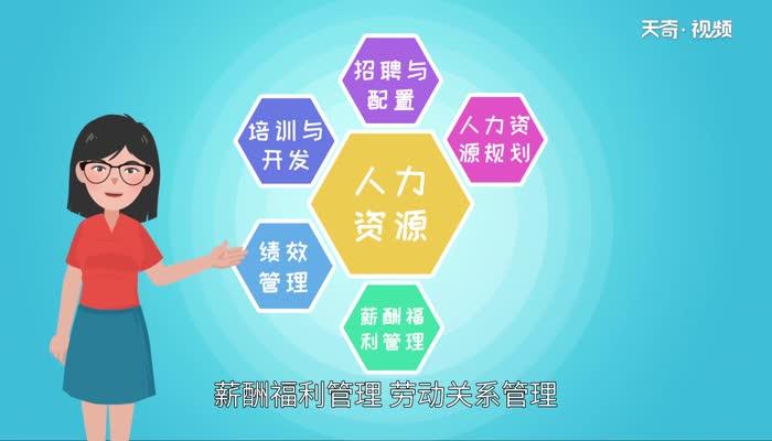 人力资源六大模块是什么 人力资源六大模块