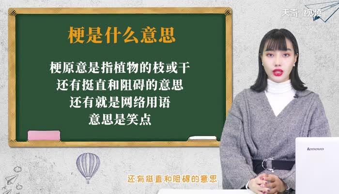 梗是什么意思 网络上梗的意思是什么