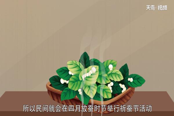 小满的习俗有哪些