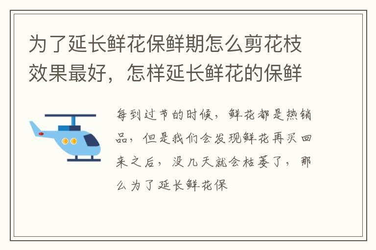 为了延长鲜花保鲜期怎么剪花枝效果最好，怎样延长鲜花的保鲜期