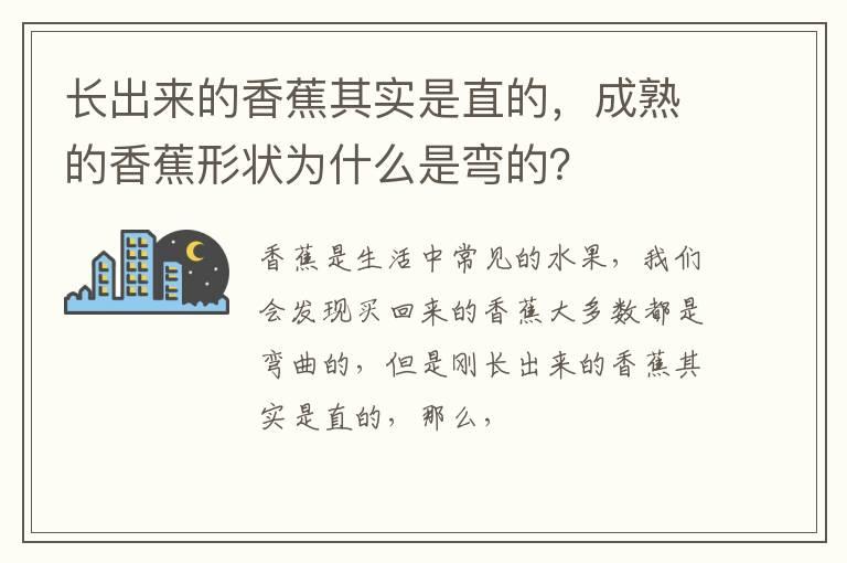 长出来的香蕉其实是直的，成熟的香蕉形状为什么是弯的？