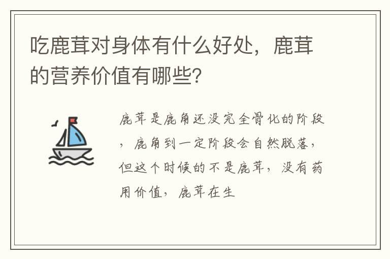 吃鹿茸对身体有什么好处，鹿茸的营养价值有哪些？