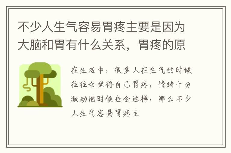 不少人生气容易胃疼主要是因为大脑和胃有什么关系，胃疼的原因有哪些