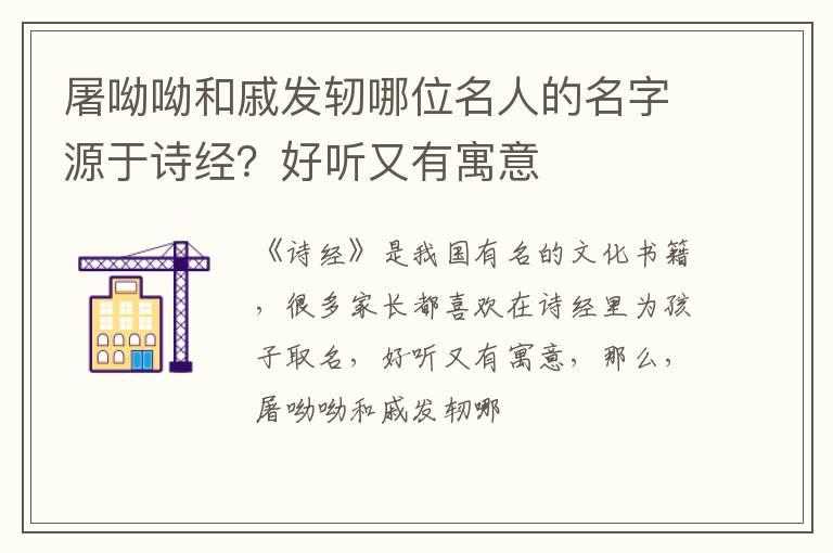 屠呦呦和戚发轫哪位名人的名字源于诗经？好听又有寓意