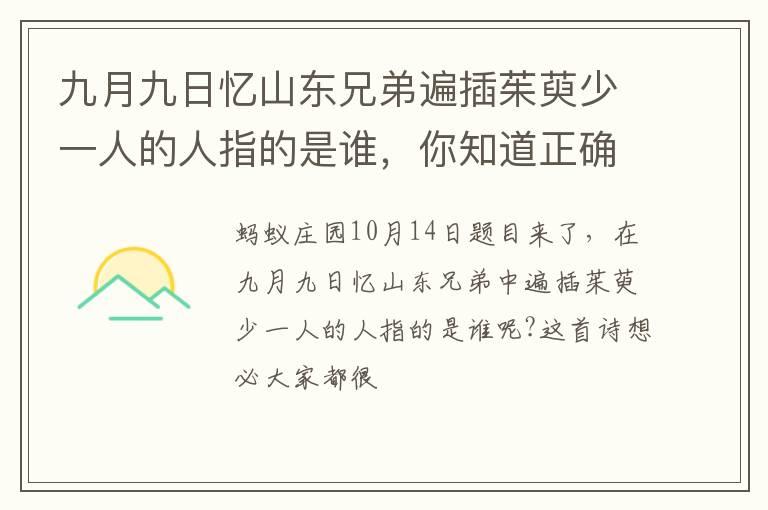 九月九日忆山东兄弟遍插茱萸少一人的人指的是谁，你知道正确答案吗？