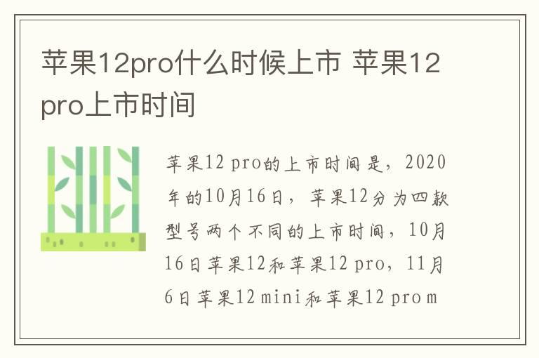 苹果12pro什么时候上市 苹果12pro上市时间