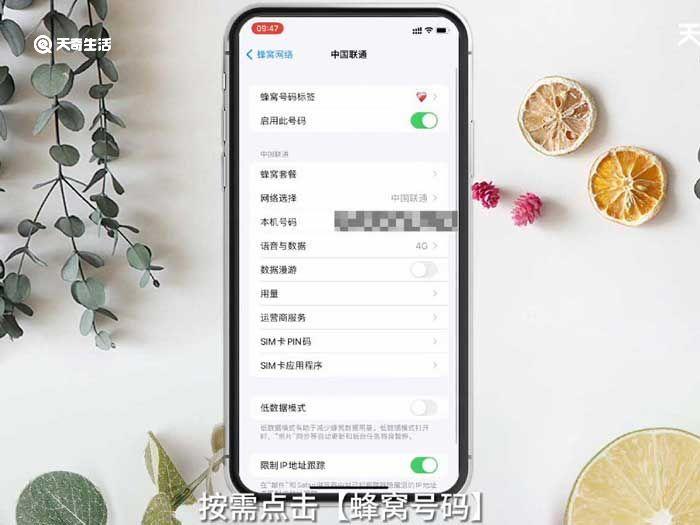 iPhone数据漫游是什么意思啊,iphone数据漫游是啥