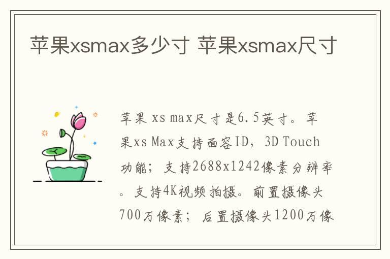 苹果xsmax多少寸 苹果xsmax尺寸