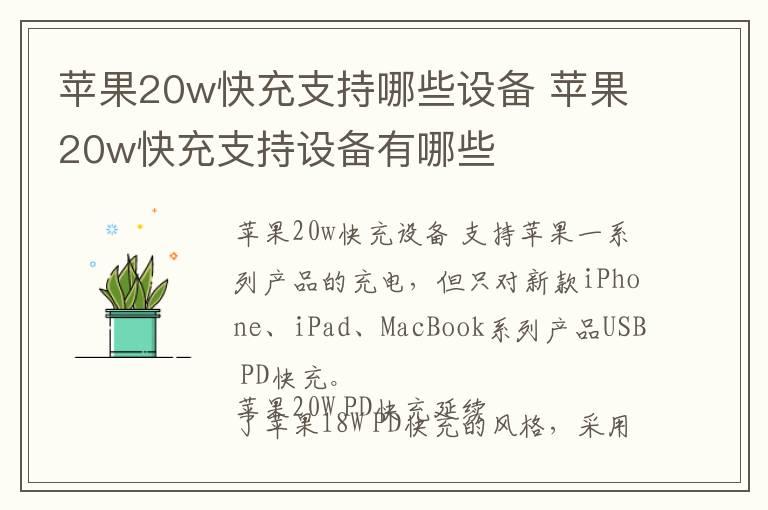 苹果20w快充支持哪些设备 苹果20w快充支持设备有哪些