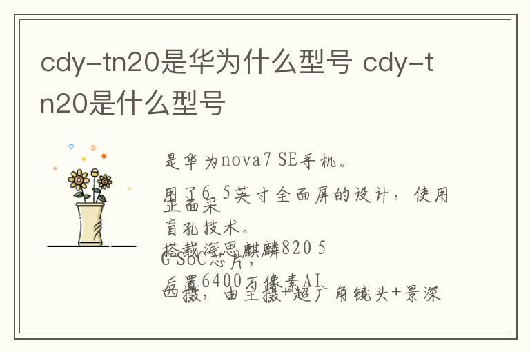 cdy-tn20是华为什么型号 cdy-tn20是什么型号