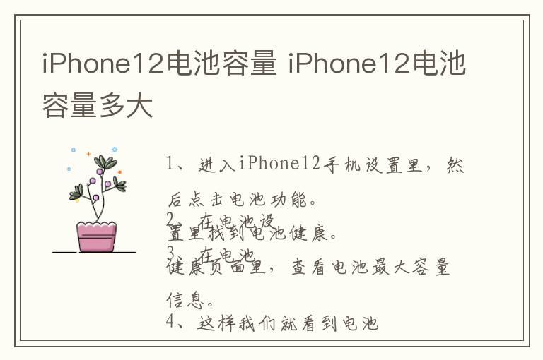 iPhone12电池容量 iPhone12电池容量多大