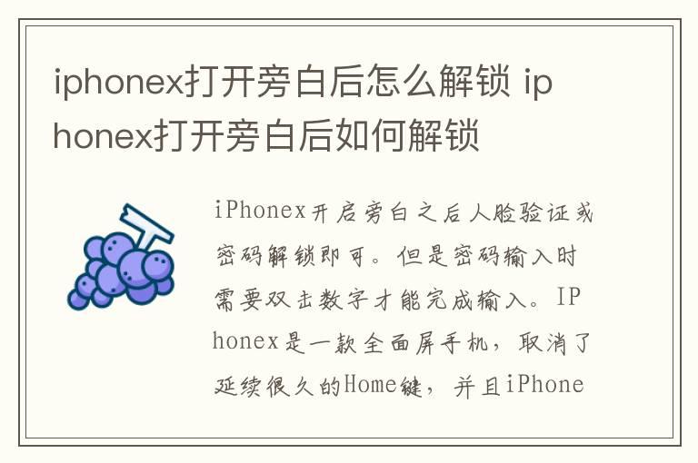 iphonex打开旁白后怎么解锁 iphonex打开旁白后如何解锁