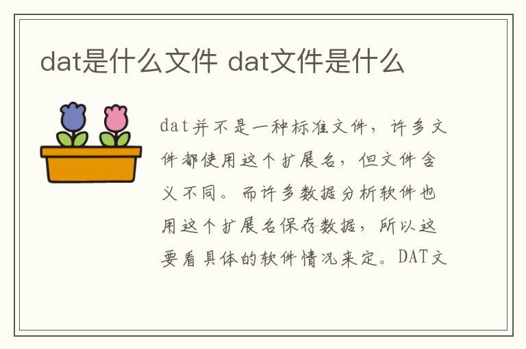 dat是什么文件 dat文件是什么