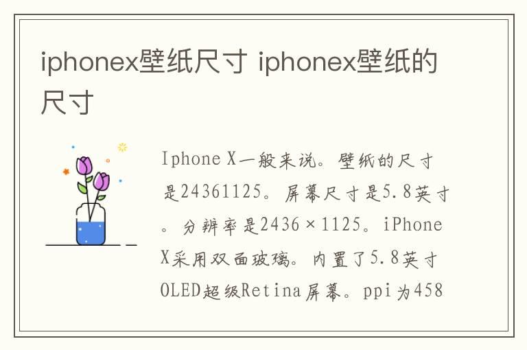 iphonex壁纸尺寸 iphonex壁纸的尺寸