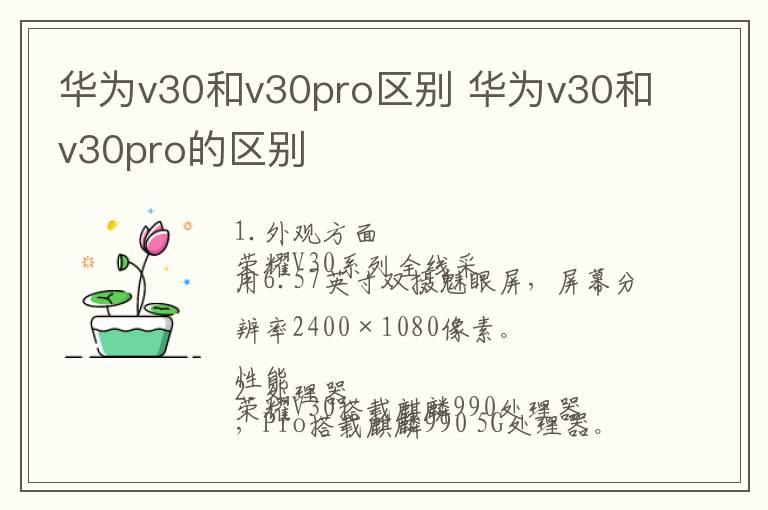 华为v30和v30pro区别 华为v30和v30pro的区别