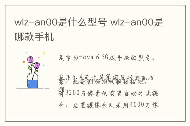 wlz-an00是什么型号 wlz-an00是哪款手机