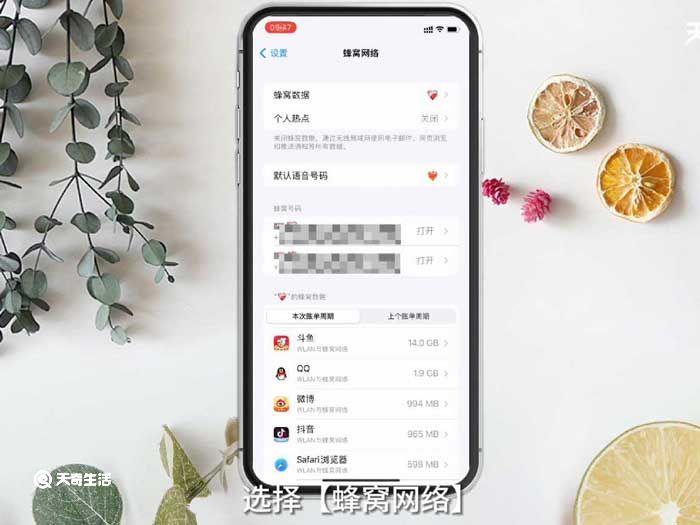 iPhone数据漫游是什么意思啊,iphone数据漫游是啥