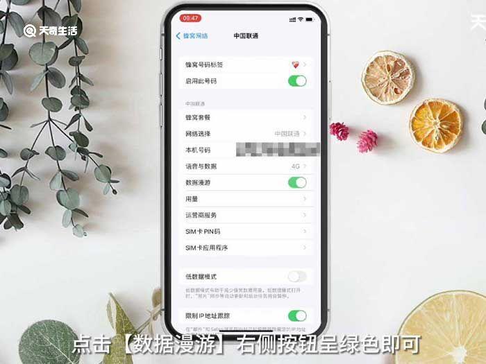 iPhone数据漫游是什么意思啊,iphone数据漫游是啥