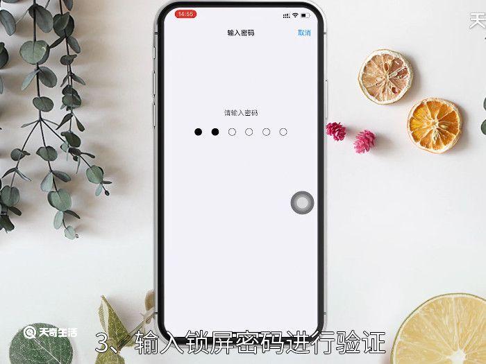 iPhone如何一上滑就输密码，苹果上滑直接输密码