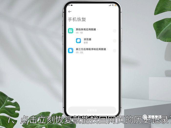 手机浏览器网页历史记录怎么恢复，手机浏览器历史浏览记录怎么恢复