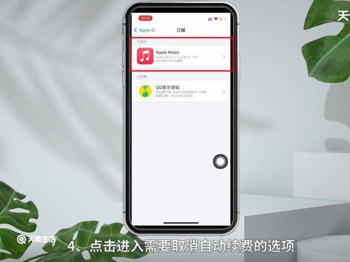 苹果手机在哪取消自动续费 苹果手机取消自动续费
